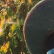 , 65 , 