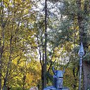  , -, 49  -  12  2025    