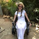 ���� ���, ������ - ��������� 29 ������� 2025 � ������ ���� ����������