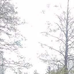 ������, ��������, 43 ����