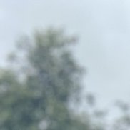 �������, 42 ����, �����-���������