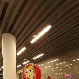 Igor, �����, 59 ���