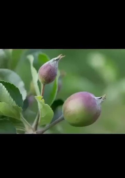 �� �� ���, �� ��� �� ���... - 2