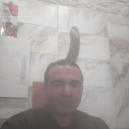 ���� ����, ���������, 36 ��� - ��������� 19 ���� 2024