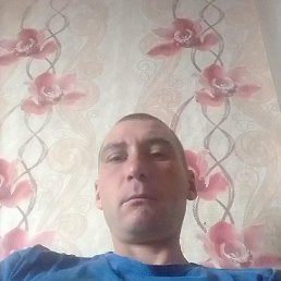 �������, ������������, 41 ���