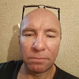 �����, �������, 46 ���