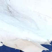 ������, 47 ���, ��������