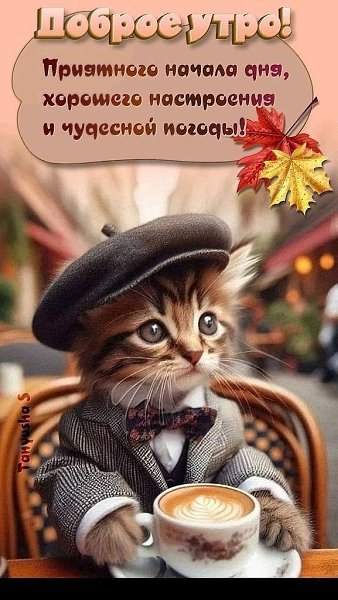 - !!! !. - 17  2025  09:32