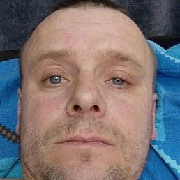 ������, ����, 41 ���