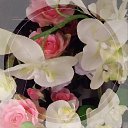 ���� ��������, ������, 61 ��� - ��������� 5 ������� 2026 � ������ ���� ����������