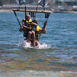 ������, ������, 56 ���