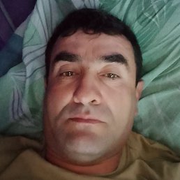 �����, ������������, 44 ����