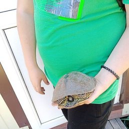 &bull;�����&bull;, ����, 35 ���