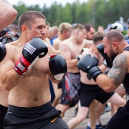 ���� �����, �����-���������, 40 ��� - ��������� 8 ������ 2023