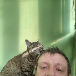 �������, , ��������