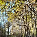 ���� ��������, ������-��� - ��������� 13 ������� 2025 � ������ ���� ����������