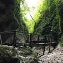 ���� ���������, �����-���������, 57 ��� - ��������� 2 ������� 2025 � ������ ���� ����������