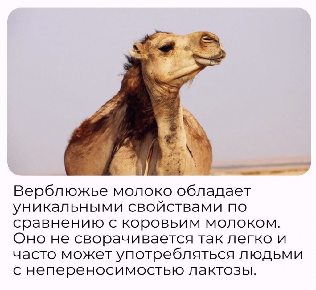  - 3  2025  23:47