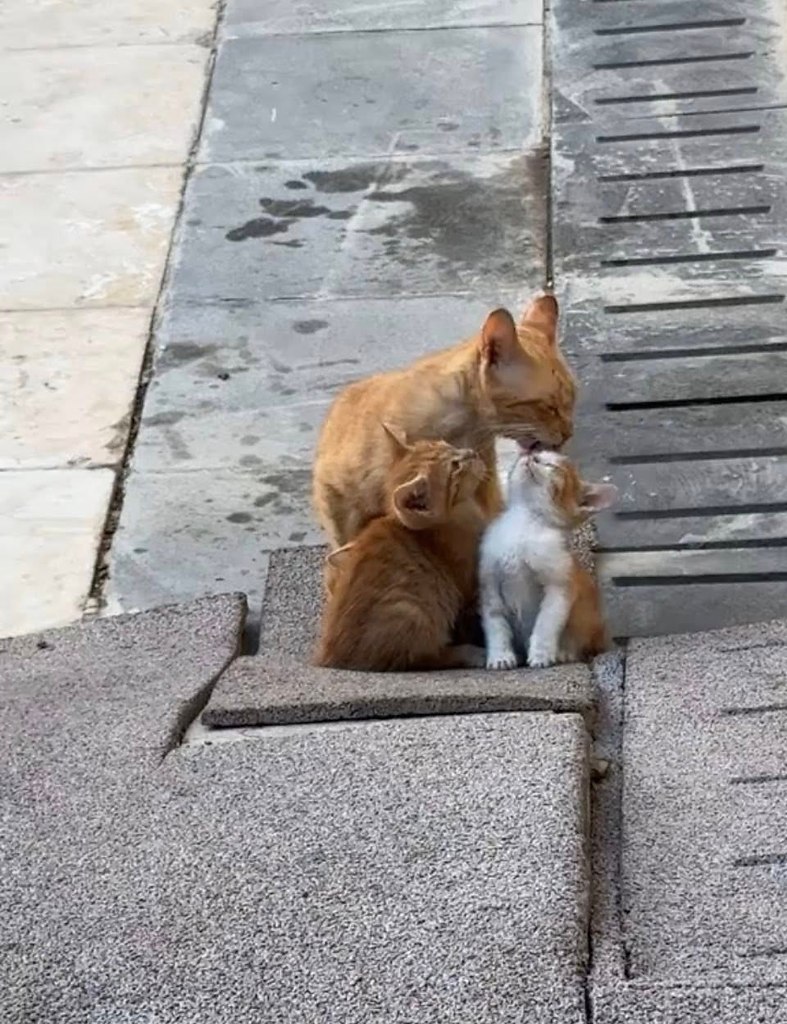 ����� ����� ��� �����, ��� �� ���������� �� �����