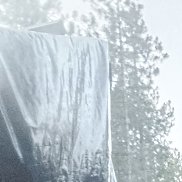 ������, 39 ���, ������