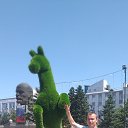 ���� ���������, �����������, 38 ��� - ��������� 8 ������ 2026 � ������ ���� ����������