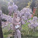 ���� �����, ������, 61 ��� - ��������� 25 ������ 2025 � ������ ���� ����������