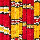  Alyona, , 53  -  3  2024   ...