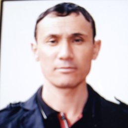 ���� �����, �������, 52 ���� - ��������� 1 ������ 2024