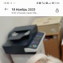 ���� �������, �����-���������, 62 ���� - ��������� 30 ���� 2026