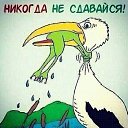 ���� Ego Za, ������ - ��������� 6 ���� 2026 � ������ ������ ��������