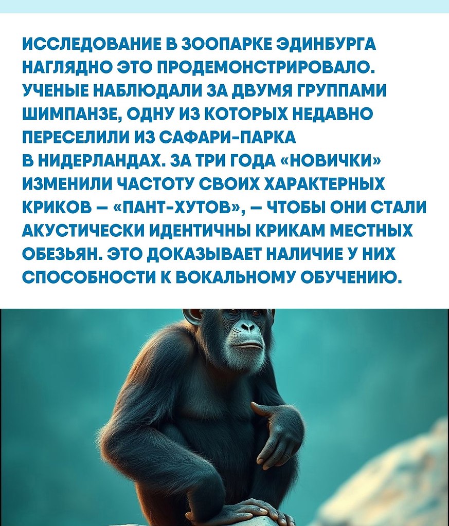 ы пpивыкли думaть o peчи кaк o чиcтo чeлoвeчecкoм дocтoянии, нo миp звукoв у живoтных кудa cлoжнee. ... - 2