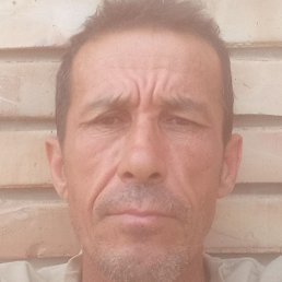 �������, ������, 48 ���