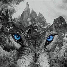 ��������� ���������, ������, 39 ���