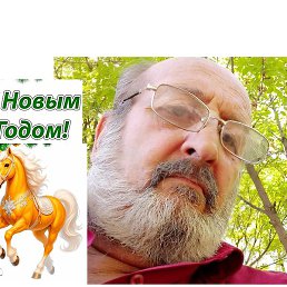 Wardkes, ������, 71 ���