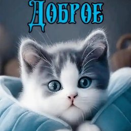 Angel, ����, 23 ����