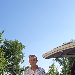 ���������, 50 ���, ���������