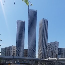 ����, ������, 56 ���