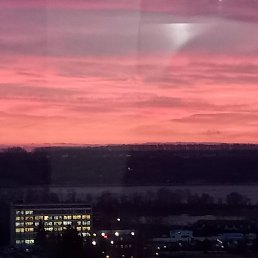 ����� �������, ������, 52 ����