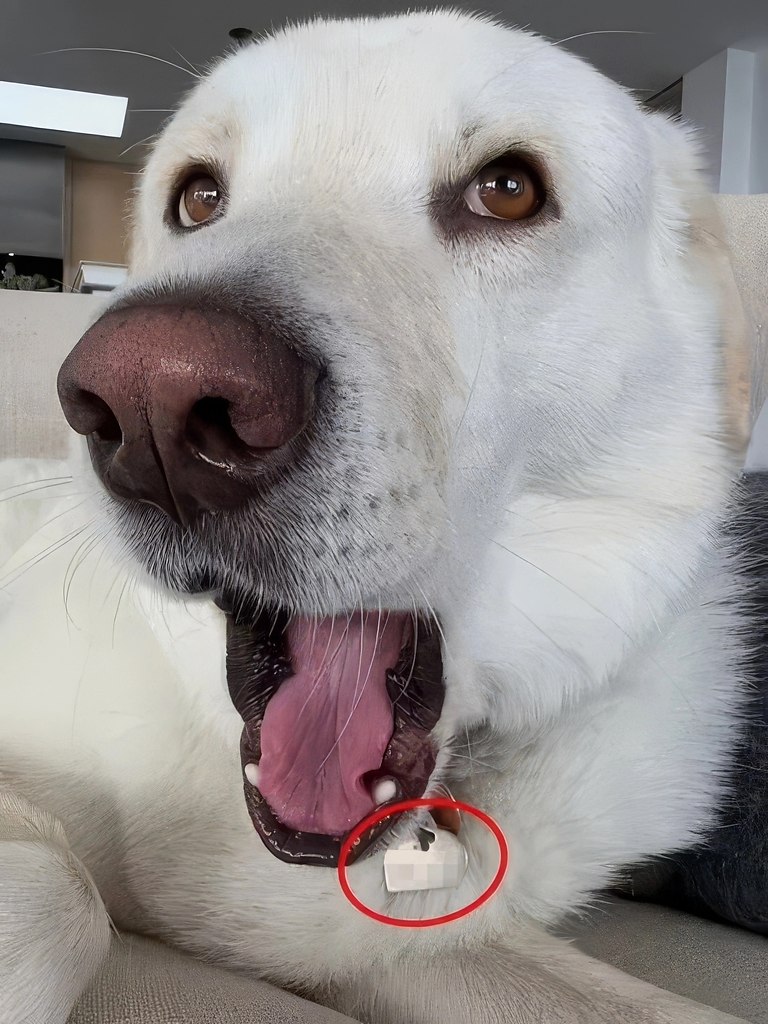 56-������ ��������� ������� ���� ���� ������ � ��������� ���������. ������� ��� �������� � ... - 2