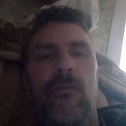 ������, �����, 40 ���