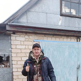 �������, 41 ���, ������