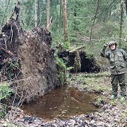 �����, 40 ���, ������