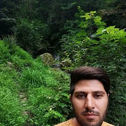  Hamid, , 37  -  15  2024