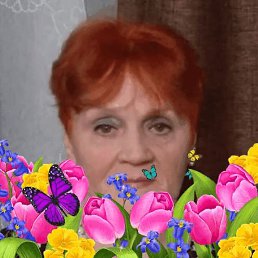 ���� ��������� �������, �����-���������, 72 ���� - ��������� 24 ����� 2026