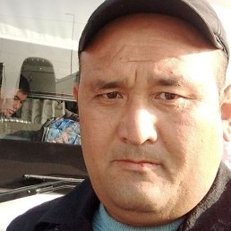 ��������, ������, 41 ���