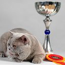 ���� Ryf, �����������, 59 ��� - ��������� 13 ������ 2025 � ������ ������ ��������