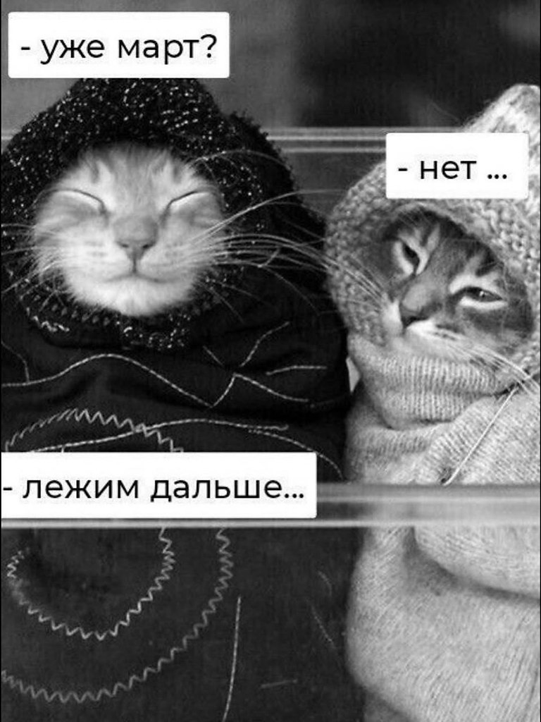 � ����... - 7 ������ 2026 � 15:10