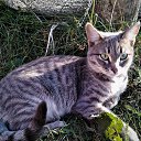���� Sergey, ������, 44 ���� - ��������� 25 ��� 2024 � ������ ���� ����������