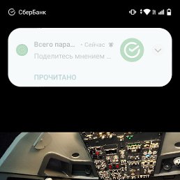 �����, ������ ��������, 36 ���