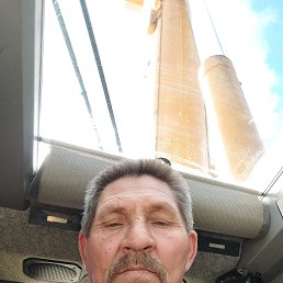 , 61, 